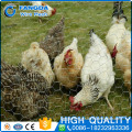 High quality hexagonal mesh with ISO 9001 factory
